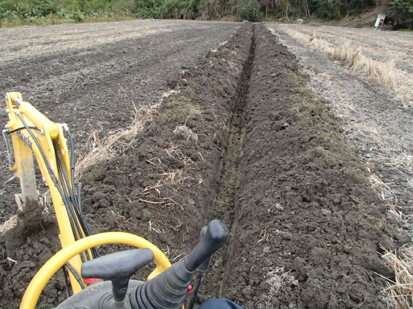 畑の排水溝掘り