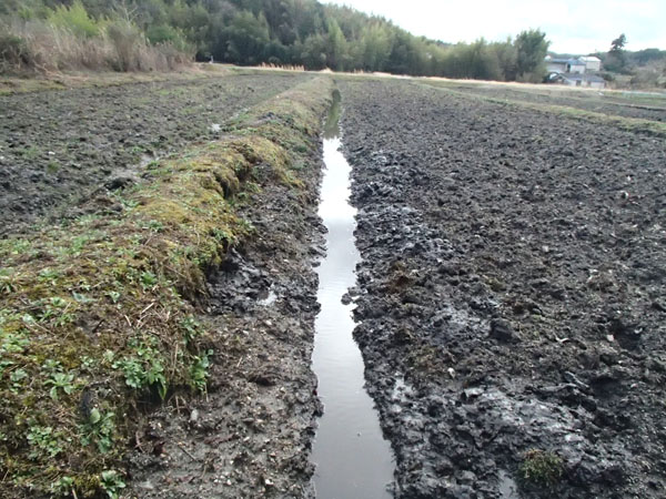 畑の排水溝