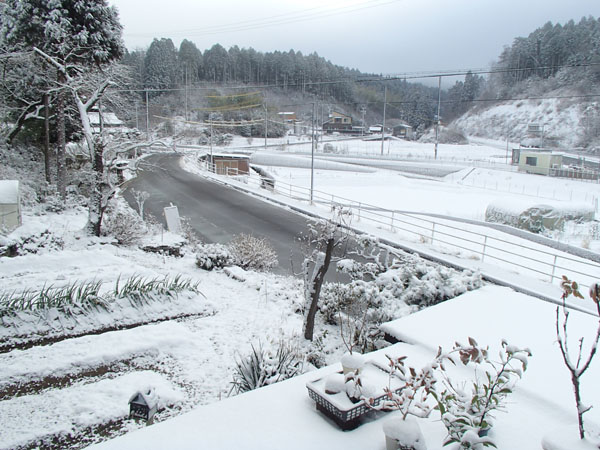 鶴里町の積雪