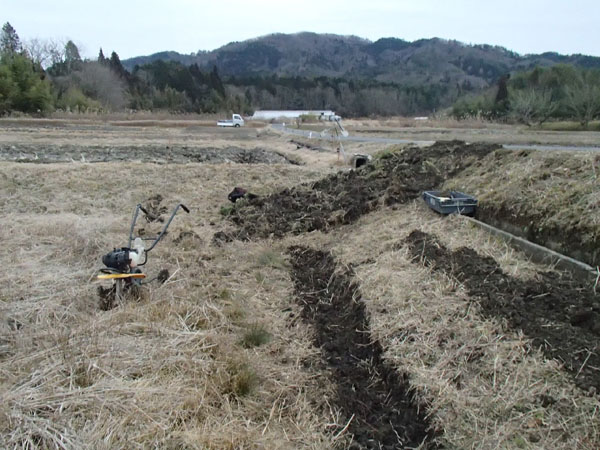 機械の進入路整備