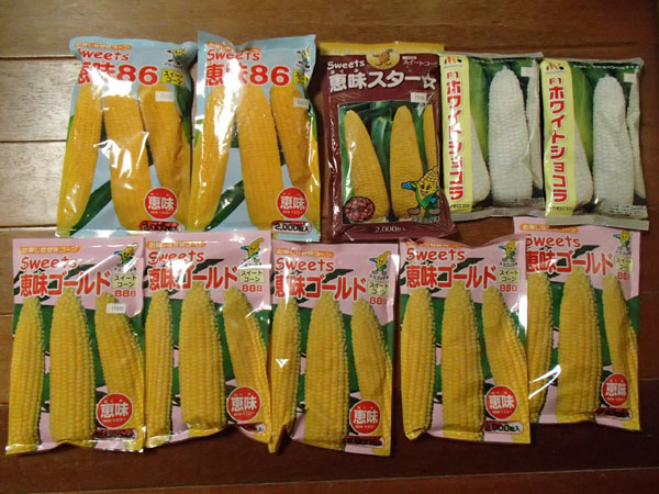 とうもろこしの種いろいろ とうもろこしの種いろいろ