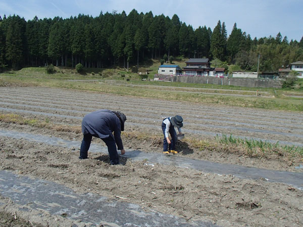 親子で種まき