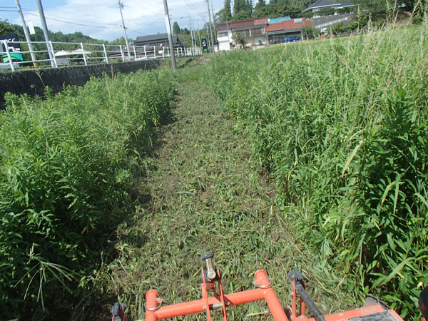 休耕田開拓