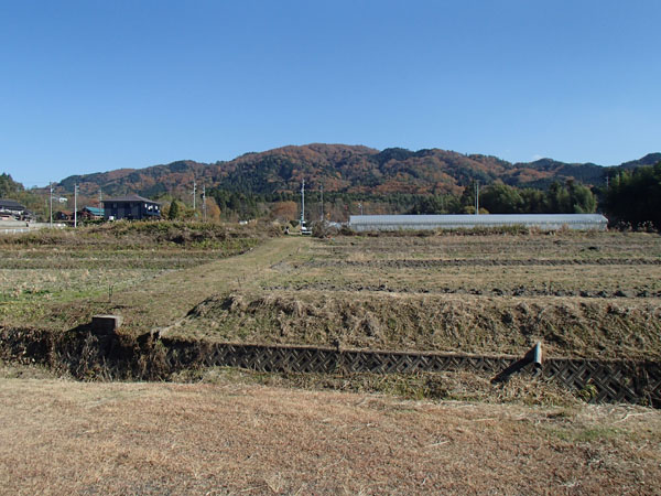 鶴岡山の紅葉