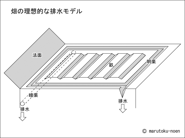 理想的な排水の畑のモデル