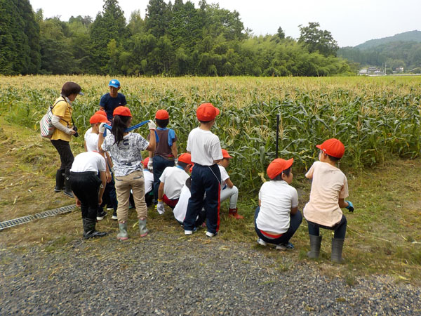 小学生の校外学習