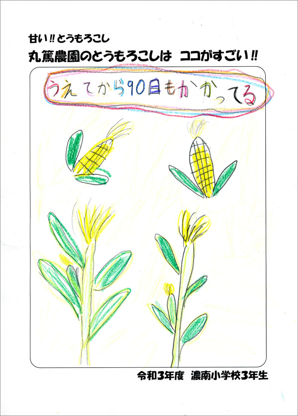 地元の小学生が描いてくれたとうもろこしのチラシ