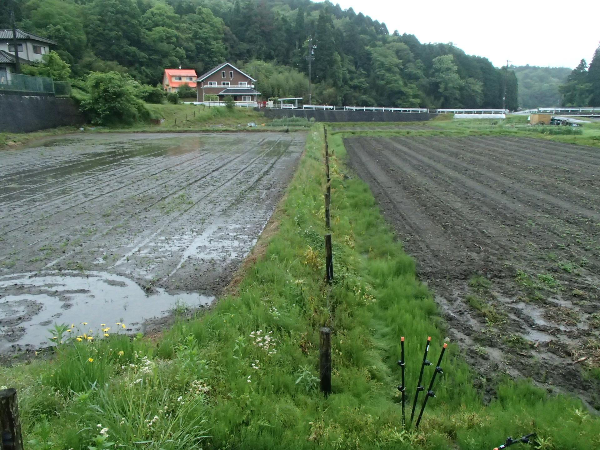 畑の排水