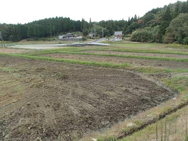畑を整地中 畑を整地中
