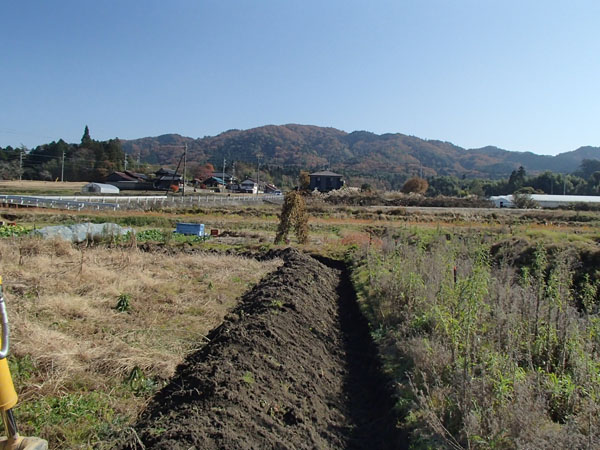 鶴岡山の紅葉